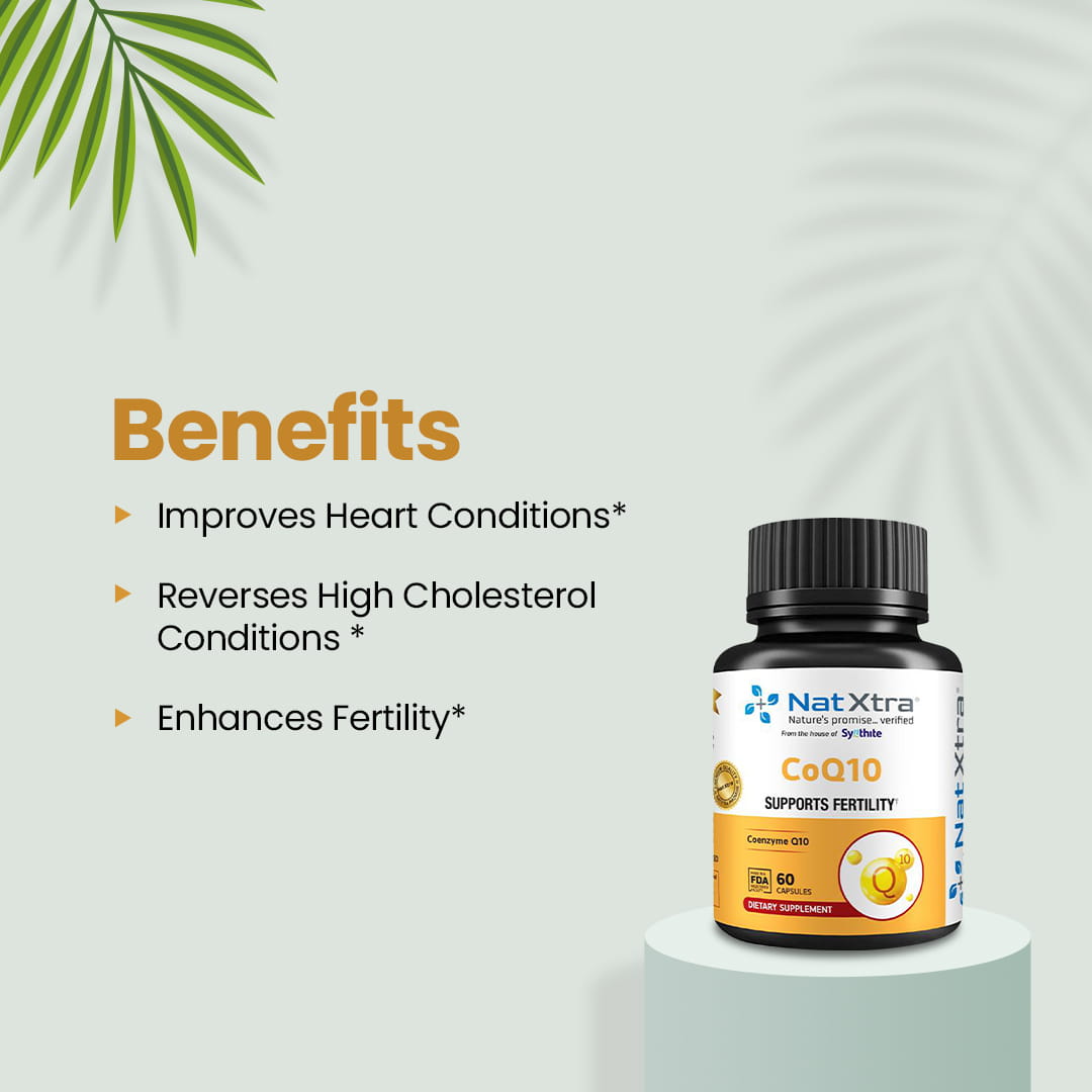 Male Fertility Supplements